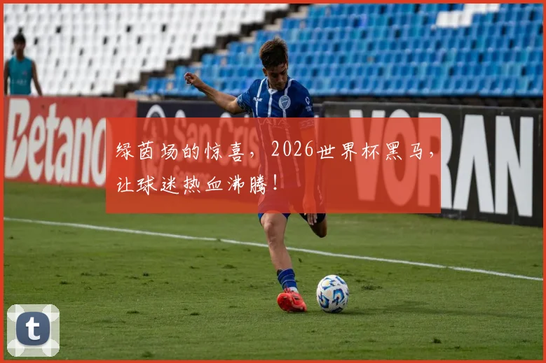 绿茵场的惊喜，2026世界杯黑马，让球迷热血沸腾！