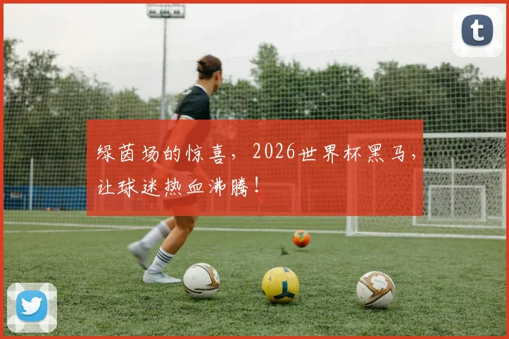 绿茵场的惊喜,2026世界杯黑马,让球迷热血沸腾!