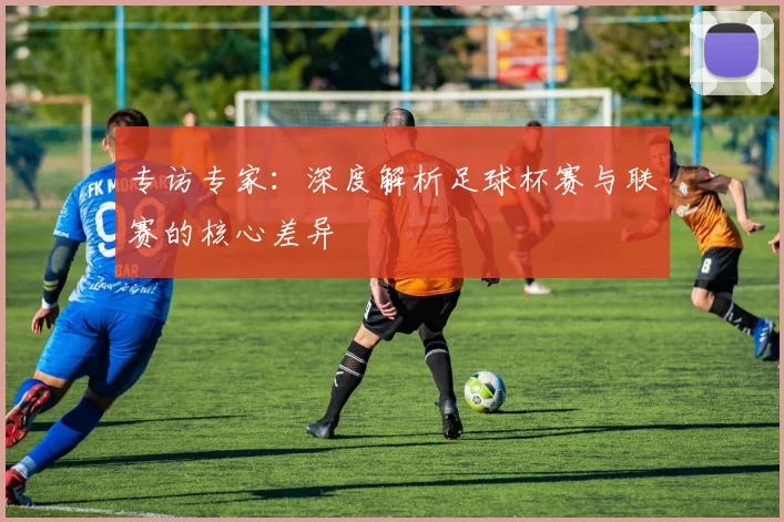 专访专家：深度解析足球杯赛与联赛的核心差异